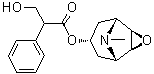 CAS # 138-12-5, (±)-Scopolamine, (1alpha,2beta,4beta,5alpha,7beta)-alpha-(Hydroxymethyl)-benzeneacetic acid 9-methyl-3-oxa-9-azatricyclo[3.3.1.0(2,4)]non-7-yl ester, Atroscine