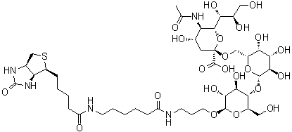 CAS 登录号：1384441-62-6, (3aS,4S,6aR)-N-[6-[[3-[[O-(N-乙酰基-alpha-神经胺酸基)-(2→6)-O-beta-D-吡喃半乳糖基-(1→4)-beta-D-吡喃葡萄糖基]氧基]丙基]氨基]-6-氧代己基]六氢-2-氧代-1H-噻吩并[3,4-d]咪唑-4-戊酰胺