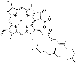 Chlorophyll molecular structure (CAS 1406-65-1)