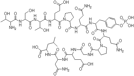 CAS # 149299-77-4, pp60 c-src (521-533) (phosphorylated), L-Threonyl-L-seryl-L-threonyl-L-alpha-glutamyl-L-prolyl-L-glutaminyl-O-phosphono-L-tyrosyl-L-glutaminyl-L-prolylglycyl-L-alpha-glutamyl-L-asparaginyl-L-leucine