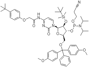 structure of CAS# 149989-66-2, 5'-O-(4,4-Dimethoxytrityl)-2'-O-[(tert-butyl)dimethylsilyl]-N-[[4-(tert-butyl)phenoxy]acetyl]cytidine-3'-(2-cyanoethyl-N,N-diisopropyl)phosphoramidite