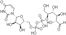 CAS # 152697-45-5, Uridine 5'-diphosphoglucose, UDPG