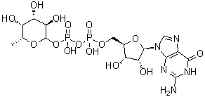 CAS # 15839-70-0, Guanosine diphosphofucose, Guanosine diphosphate fucose