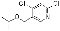 CAS # 1602518-20-6, 2,4-Dichloro-5-[(1-methylethoxy)methyl]pyridine