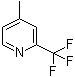 CAS # 1620-79-7, 4-Methyl-2-(trifluoromethyl)pyridine