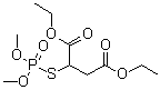 CAS # 1634-78-2, Malaoxone, Malathion oxon, Malathion-O-analog, Maloxon, O,O-Dimethyl S-1,2-bis(ethoxycarbonyl)ethyl phosphorothioate, Oxycarbophos