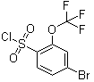 structure of CAS# 175278-14-5, 4-溴-2-三氟甲氧基苯磺酰氯