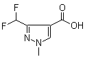 CAS # 176969-34-9, 3-Difluoromethyl-1-methylpyrazole-4-carboxylic acid, 3-Difluoromethyl-1-methyl-1H-pyrazol-4-carboxylic acid, 3-Difluoromethyl-1-methyl-1H-pyrazole-4-carboxylic acid