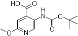 structure of CAS# 183741-86-8, 5-(tert-Butoxycarbonylamino)-2-methoxypyridine-4-carboxylic acid