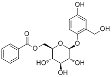 CAS # 18463-25-7, Nigracin, Poliothyrsoside, Xylosmoside, beta-D-Glucopyranoside 4-hydroxy-2-(hydroxymethyl)phenyl 6-benzoate