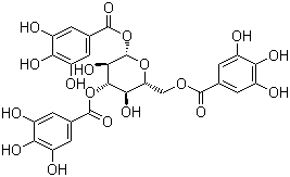 CAS # 18483-17-5, 1,3,6-Tri-O-galloyl-beta-D-glucopyranose, 1,3,6-Tri-O-galloyl-beta-D-glucose, NSC 69861, beta-D-Glucopyranose 1,3,6-trigallate