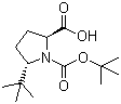 CAS # 185142-15-8, (2S,5R)-N-Boc-5-tert-butylpyrrolidine-2-carboxylic acid, (2S,5R)-1-(tert-Butoxycarbonyl)-5-tert-butylpyrrolidine-2-carboxylic acid, (2S,5R)-5-(1,1-Dimethylethyl)-1,2-pyrrolidinedicarboxylic acid 1-(1,1-dimethylethyl) ester