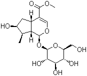 CAS # 18524-94-2, Loganin, Methyl 6-hydroxy-7-methyl-1-[3,4,5-trihydroxy-6-(hydroxymethyl)oxan-2-yl]oxy-1,4a,5,6,7,7a-hexahydrocyclopenta[d]pyran-4-carboxylate