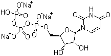 CAS # 19817-92-6, Uridine-5'-triphosphoric acid trisodium salt, UTP.Na3