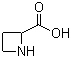 DL-氮杂环丁烷-2-羧酸分子结构 (CAS 20063-89-2)