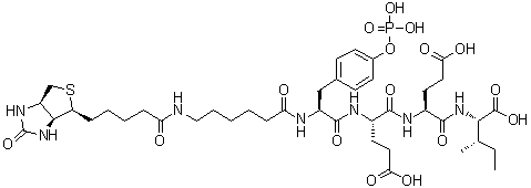 CAS # 201422-05-1, N-[6-[[5-[(3aS,4S,6aR)-Hexahydro-2-oxo-1H-thieno[3,4-d]imidazol-4-yl]-1-oxopentyl]amino]-1-oxohexyl]-O-phosphono-L-tyrosyl-L-alpha-glutamyl-L-alpha-glutamyl-L-isoleucine