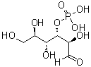 CAS # 20701-41-1, D-Glucose 3-phosphate, Glucose 3-phosphate, Glucose, 3-(dihydrogen phosphate)