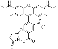 CAS 登录号：209112-21-0, 5-羧基罗丹明 6G 琥珀酰亚胺酯