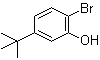 CAS # 20942-68-1, 2-Bromo-5-tert-butylphenol