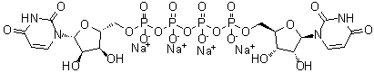 CAS # 211427-08-6, Diquafosol tetrasodium