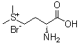 CAS 登录号：212757-14-7, [(3R)-3-氨基-3-羧基丙基]二甲基溴化锍