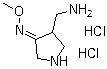 CAS # 215229-16-6, 4-(Aminomethyl)-3-pyrrolidinone O-methyloxime hydrochloride