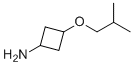 CAS 登录号：2325898-97-1, (1r,3r)-3-(2-甲基丙氧基)环丁-1-胺