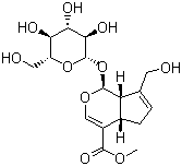 CAS 登录号：24512-63-8 (27745-20-6), 京尼平甙, 栀子甙, 栀子苷