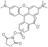 structure of CAS# 246256-50-8, 5(6)-Carboxytetramethylrhodamine succinimidyl ester