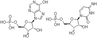 CAS # 24939-03-5, Polyinosinic acid-polycytidylic acid, Polyinosinic:polycytidylic acid copolymer