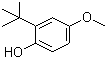 structure of CAS# 25013-16-5, 叔丁基-4-羟基苯甲醚