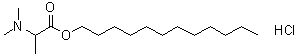 Dodecyl 2-(N,N-dimethylamino)propionate hydrochloride molecular structure (CAS 259685-49-9)