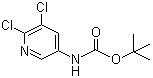 CAS # 275383-96-5, tert-Butyl (5,6-dichloropyridin-3-yl)carbamate, N-(5,6-Dichloro-3-pyridinyl)carbamic acid 1,1-dimethylethyl ester