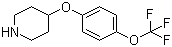 structure of CAS# 28033-37-6, 4-[4-(Trifluoromethoxy)phenoxy]piperidine