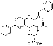 CAS # 2862-03-5, N-Acetyl-1-O-(phenylmethyl)-4,6-O-(phenylmethylene)-alpha-muramic acid
