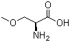 structure of CAS# 32620-11-4, (S)-2-氨基-3-甲氧基丙酸