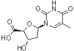 CAS # 3544-99-8, Thymidine-5'-carboxylic acid, 1,2-Dideoxy-1-(3,4-dihydro-5-methyl-2,4-dioxo-1(2H)-pyrimidinyl)-beta-D-erythro-pentofuranuronic acid