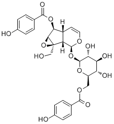 CAS # 355143-38-3, 6'-O-p-Hydroxybenzoylcatalposide