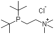 structure of CAS# 360577-23-7, 2-[双(叔丁基)膦]-N,N,N-三甲基乙基氯化铵