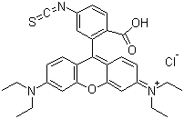 CAS # 36877-69-7, Rhodamine B isothiocyanate, 9-[2-Carboxy-5-isothiocyanatophenyl]-3,6-bis(diethylamino)xanthylium chloride