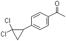 1-[4-(2,2-Dichlorocyclopropyl)phenyl]ethan-1-one molecular structure (CAS 40641-93-8)