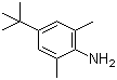 4-叔丁基-2,6-二甲基苯胺分子结构 (CAS 42014-60-8)
