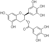 CAS # 4233-96-9, (-)-Gallocatechin gallate, (2S,3R)-2-(3,4,5-Trihydroxyphenyl)-3,4-dihydro-1(2H)-benzopyran-3,5,7-triol 3-(3,4,5-trihydroxybenzoate)
