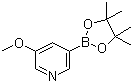 structure of CAS# 445264-60-8, 3-Methoxy-5-pyridineboronic acid pinacol ester