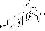 CAS # 472-15-1, Betulinic acid, 3beta-Hydroxy-20(29)-lupaene-28-oic acid