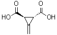 CAS # 499-02-5, Feist's acid, 3-Methylenecyclopropane-trans-1,2-dicarboxylic acid, trans-3-Methylenecyclopropane-1,2-dicarboxylic acid