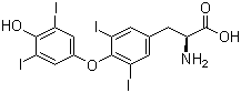 CAS # 51-48-9, L-Thyroxine, 3,3',5,5'-Tetraiodo-L-thyronine, 3-[4-(4-Hydroxy-3,5-diiodophenoxy)-3,5-diiodophenyl]-L-alanine, L-2-Amino-3-[4-(4-hydroxy-3,5-diiodo-phenoxy)-3,5-diiodo-phenyl]-propanoic acid