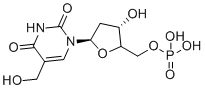CAS # 5238-86-8, 5-Hydroxymethyldeoxyuridylate, [(3S,5R)-3-hydroxy-5-[5-(hydroxymethyl)-2,4-dioxopyrimidin-1-yl]oxolan-2-yl]methyl dihydrogen phosphate
