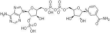 Triphosphopyridine nucleotide molecular structure (CAS 53-59-8)