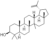 CAS # 545-47-1, Lupeol, (3beta)-Lup-20(29)-en-3-ol, Fagarasterol